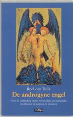 ANDROGYNE ENGEL 9789060381786 R. den Dulk, Verzenden, Zo goed als nieuw, R. den Dulk