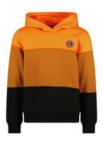 -30% Tygo & Vito  Tygo & Vito Jongens hoodie hessel clownfis, Verzenden, Nieuw