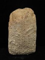 Mesopotamisch Clay Tablet met spijkerschriftteksten. - 11 cm