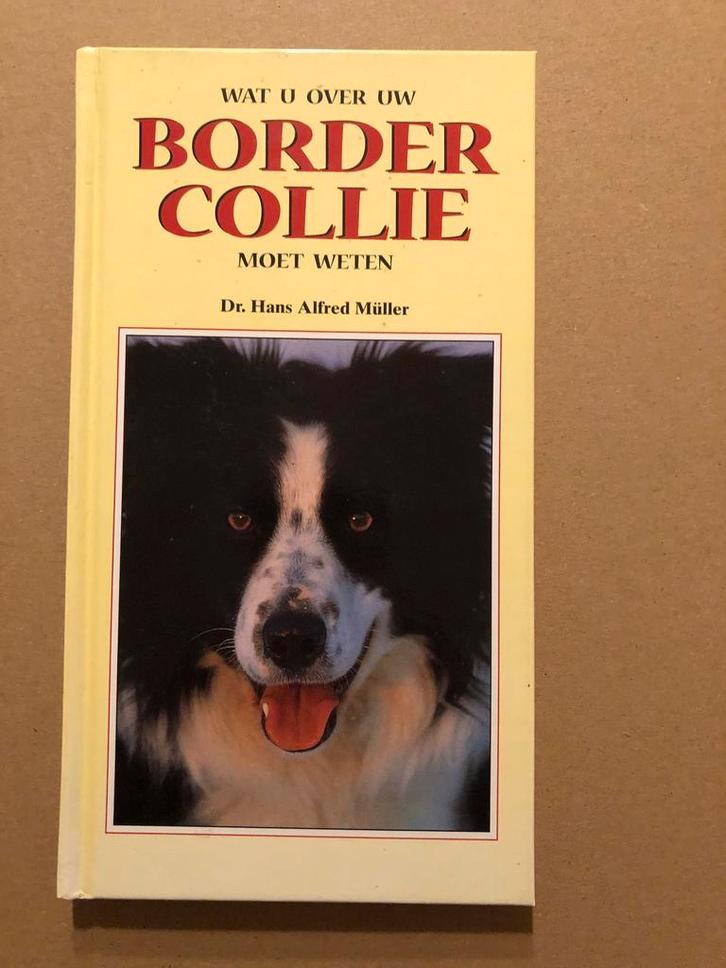 Handboek Border Collie - NIEUW, Boeken, Dieren en Huisdieren, Zo goed als nieuw, Honden, Verzenden