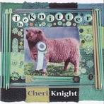 cd - Cheri Knight - The Knitter, Zo goed als nieuw, Verzenden