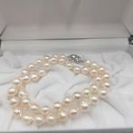 Zonder minimumprijs - Halsketting Zilver Parel - Akoya 8,5mm, Nieuw