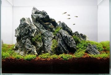 Ordinairy Tsinglung 20-30cm  - aquarium decoratie steen beschikbaar voor biedingen
