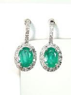 Oorbellen - 18 karaat Witgoud Smaragd - Diamant, Nieuw