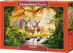Royal Family Puzzel (1000 stukjes) | Castorland - Puzzels, Verzenden, Nieuw