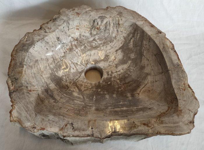 Waskom - Versteend hout - wastafel, Verzamelen, Mineralen en Fossielen