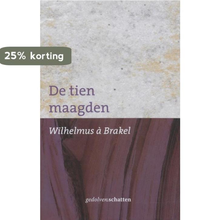 De tien maagden 9789061409113 W a Brakel, Boeken, Godsdienst en Theologie, Gelezen, Verzenden