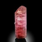 XL Gemmy! TOERMALIJN Rubellite Kristal - Hoogte: 4.5 cm -