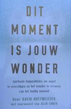 Dit moment is jouw wonder 9789078405047 David Hoffmeister, Verzenden, Gelezen, David Hoffmeister
