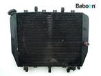 Radiateur Kawasaki ZX 12 R Ninja 2002-2006 (NINJA ZX-12R, Verzenden, Gebruikt