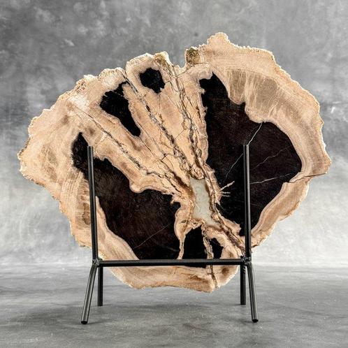 C-Grote plak versteend hout op een aangepaste standaard -, Antiek en Kunst, Kunst | Designobjecten