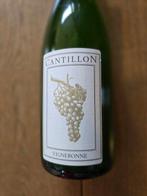 Cantillon - Magic Lambic 2025 & Vigneronne 2021 - 75cl - 2, Nieuw