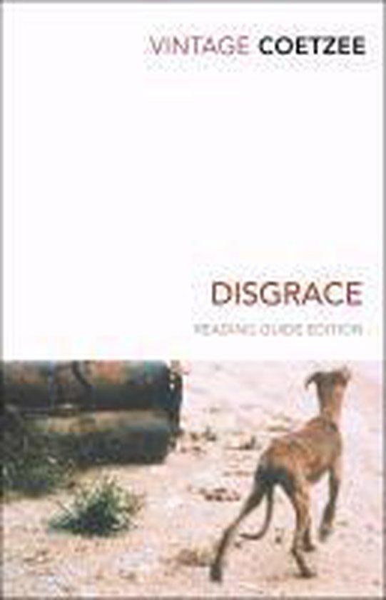 Disgrace 9780099540984 J. M. Coetzee, Boeken, Taal | Engels, Gelezen, Verzenden