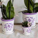Kolibri Orchids | Paarse orchidee Vienna + Malaga sierpot Li, Verzenden