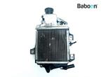 Radiateur Honda NSS 125 Forza 2017-2018 (NSS125 JF69), Verzenden, Gebruikt