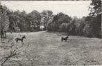 OOTMARSUM - IJsdal de Bron, Verzamelen, Ansichtkaarten | Nederland, Verzenden, Gelopen