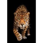 Gevlekte wilde kat - Panter 80x120x2cm, Antiek en Kunst, Antiek | Woonaccessoires, Ophalen of Verzenden