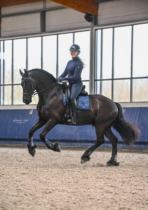GRATIS 3 weken een MYLER bit thuis TESTEN?, Dieren en Toebehoren, Paarden en Pony's | Hoofdstellen en Tuigage, Overige soorten