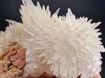 calciet Hondstand - Hoogte: 90 mm - Breedte: 70 mm- 238 g -, Verzamelen, Mineralen en Fossielen