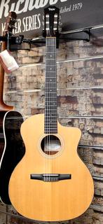 Taylor 114CE-N Nylon Gitaar met Element en Gigbag Occasion, Muziek en Instrumenten, Ophalen of Verzenden, Zo goed als nieuw, Klassieke of Spaanse gitaar