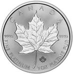 1 Troy Ounce - Platina .999 - maple Leaf 2025 - 31,1 gram -