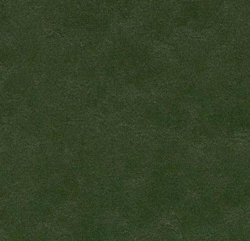 Forbo Marmoleum Walton 3359 bottle green, Huis en Inrichting, Stoffering | Vloerbedekking, Verzenden