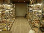 Winkel Het Steentje, Ophalen of Verzenden, Overige typen