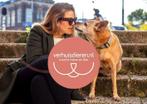 Adoptie hond | die bij je past | geen handel | Verhuisdieren