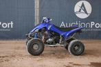 Veiling: Quad Yamaha Raptor 350 Diesel, Motoren