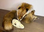 Rode vos Taxidermie volledige montage - vulpes vulpes - 5 cm