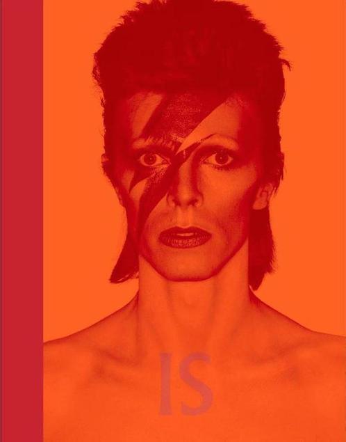 David Bowie IS 9789401604741 David Bowie, Boeken, Muziek, Gelezen, Verzenden