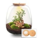 Planten terrarium - Emma - DIY kit -  25 cm - Ø 23 cm - Bon, Verzenden
