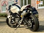 Ducati Monster 696 696 Monster, Sport