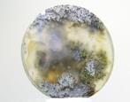Agaat Cabochon - Hoogte: 34 mm - Breedte: 34 mm- 13.7 g -