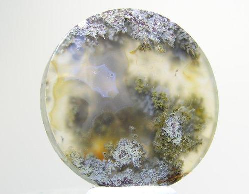 Agaat Cabochon - Hoogte: 34 mm - Breedte: 34 mm- 13.7 g -, Verzamelen, Mineralen en Fossielen