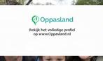 Christian zoekt een oppas in Weesp voor 1 kind., Vacatures, Vacatures | Juridisch en Fiscaal