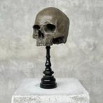 Beeld, NO RESERVE PRICE - Stunning human skull statue on a, Antiek en Kunst