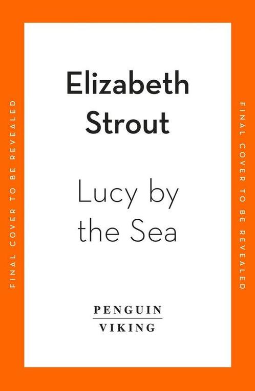 Lucy by the Sea 9780241606995 Elizabeth Strout, Boeken, Overige Boeken, Gelezen, Verzenden