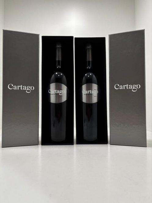 2019 Bodegas San Román, Cartago Paraje del Pozo - Toro - 2, Verzamelen, Wijnen