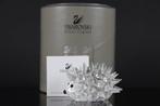 Figuur - Swarovski - Egel middel (Boxed + Certificate) -