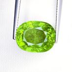 Tsavoriet - 9.24 ct - International Gemological Institute, Nieuw