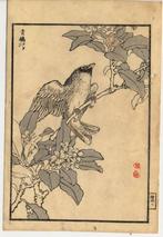 Vogels - Bairei hyakuch gafu - 1880 - Papier - Kono Bairei