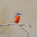 Matthieu van Riel - Kingfisher