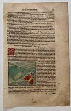 Sebastian Münster - Cosmographia - 1590, Antiek en Kunst