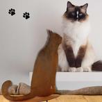 Metalen decoratie kat zittend in patina, Verzenden, Nieuw