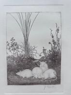 Jan Mankes (1889-1920) - Vier muizen in gras