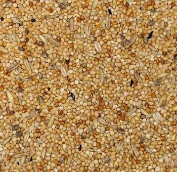 Grasparkietenzaad - Overige zaden - Vogelzaad beschikbaar voor biedingen