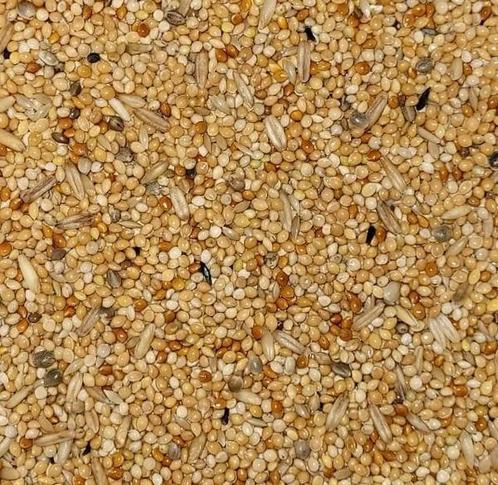 Grasparkietenzaad - Overige zaden - Vogelzaad, Dieren en Toebehoren, Vogels | Toebehoren, Nieuw, Verzenden