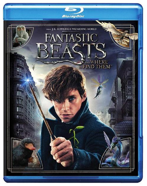 blu-ray - - Fantastic Beasts, and where to find them..., Cd's en Dvd's, Blu-ray, Zo goed als nieuw, Verzenden