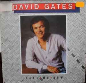 LP gebruikt - David Gates - Take Me Now (Germany, 1981), Cd's en Dvd's, Vinyl | Pop, Zo goed als nieuw, Verzenden